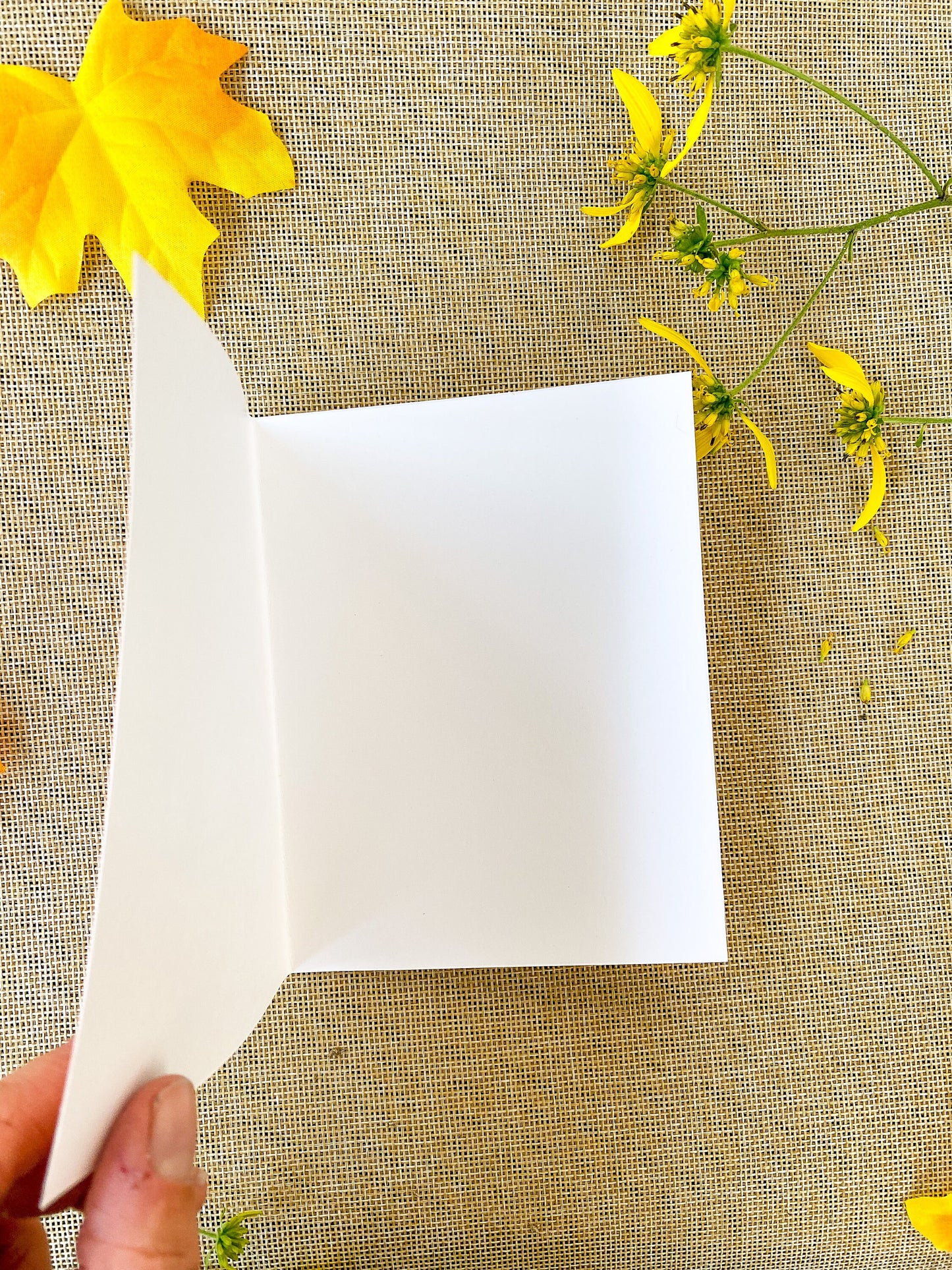 Hello Pumpkin blank greeting card - thinking of you fall autumn thanksgiving halloween card